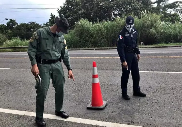 Los perros no fueron macheteados como se aseveró en redes sociales. Fotos: Diómedes Sánchez.