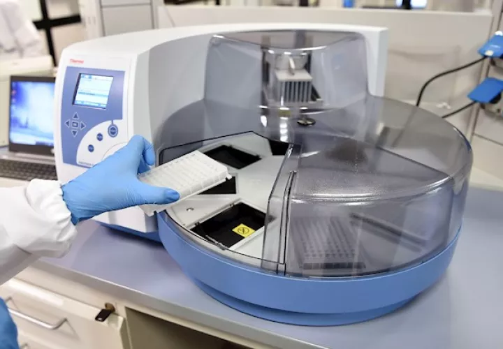 Para determinarlo, un equipo de investigadores liderados por la responsable del laboratorio de virología experimental de la Universidad de Amsterdam (Holanda), Lia van der Hoek, ha analizado la inmunidad en cuatro cepas de coronavirus estacionales similares al SARS-CoV-2.