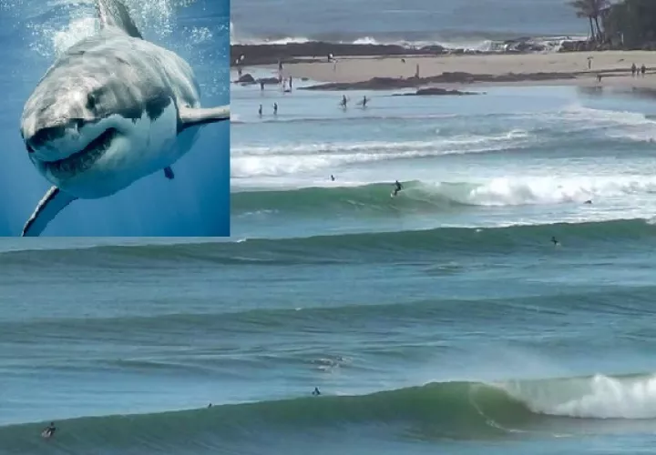 La muerte fue la primera en 62 años a causa de un tiburón.