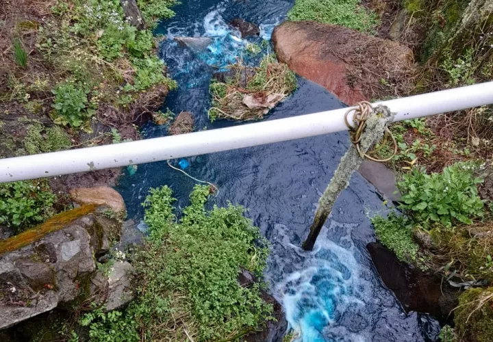 No es la primera vez que se da esta situación y que no se puede permitir que se continúe dando este daño ecológico. 