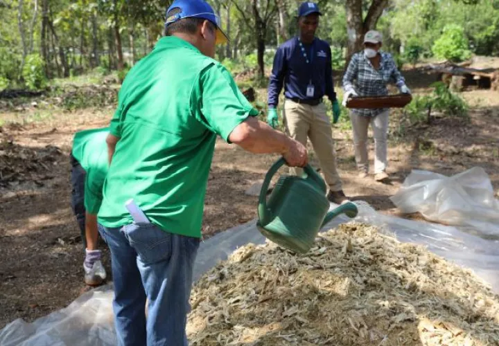 MiAmbiente capacita a personas en el  manejo del abono orgánico.