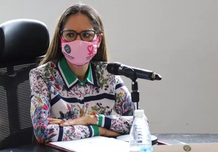 La diputada Zulay Rodríguez preside la Comisión de la Mujer, la Niñez, la Juventud y la Familia. Foto cortesía Asamblea Nacional