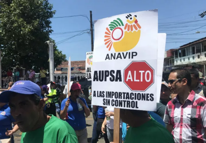 Los productores de Azuero han efectuado protestas en las calles exigiendo la eliminación de la AUPSA. Foto: Thays Domínguez.