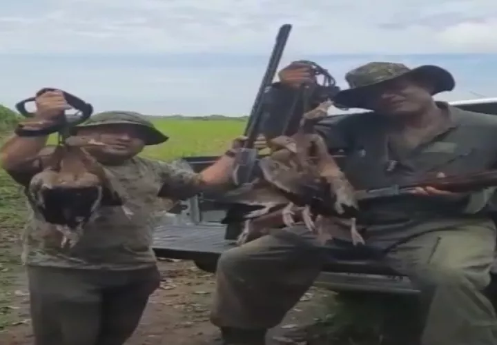 Los ciudadanos enseñan los patos güichichis que cazaron. 