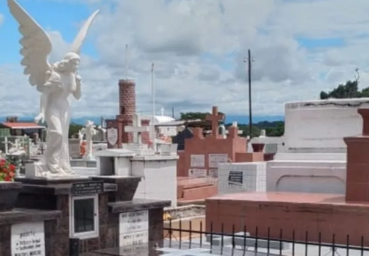 El Ministerio de Salud (Minsa) pide realizar la limpieza periódica en los cementerios. 