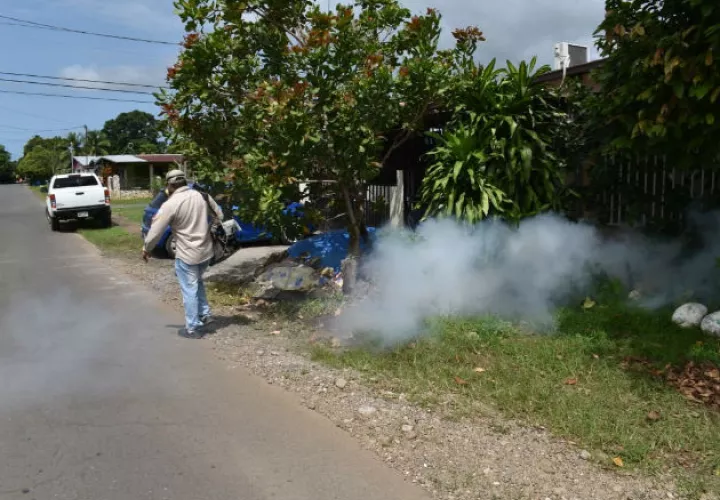 El nivel de infestación del mosquito en Chiriquí está por encima del 3%. Foto: José Vásquez.