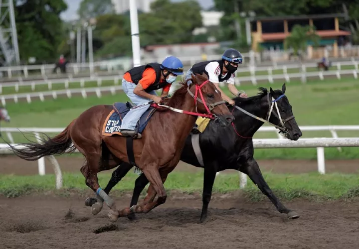 Jinetes cabalgan en el Hipódromo Presidente Remón. Foto:EFE