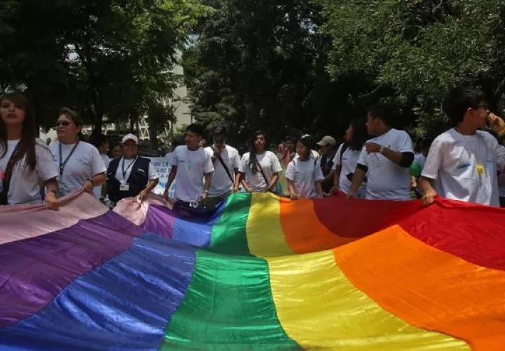 Audiencia sobre Matrimonio Igualitario en Panamá. Foto:EFE
