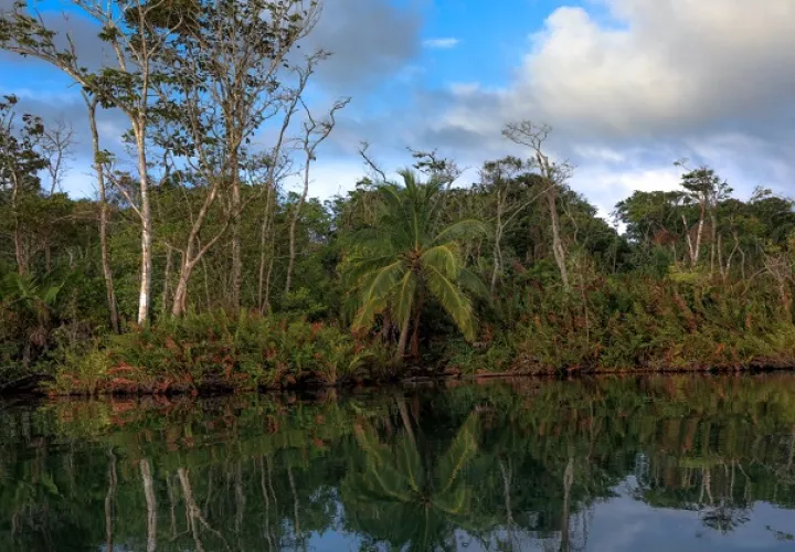 El horario de visita en el Parque Nacional Chagres es de 8:00 a.m. a 4:00 p.m., de lunes a domingo. 