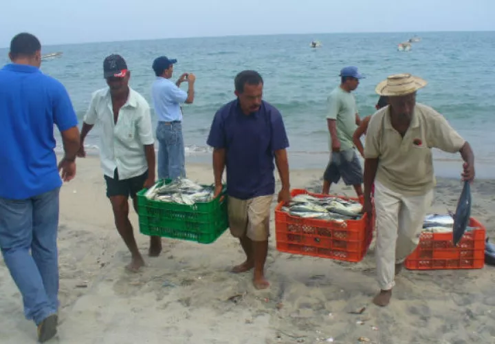El ministro de Desarrollo Agropecuario, Augusto Valderrama, señaló  que Panamá tenía  más de 62 años con la misma norma de pesca.