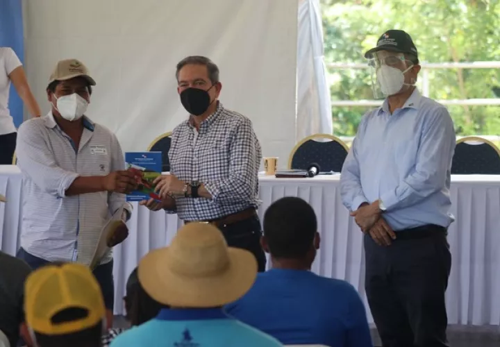 En medio de la pandemia, el sector agropecuario que genera más de 200 mil plazas de empleo no se ha detenido en la producción de los alimentos.