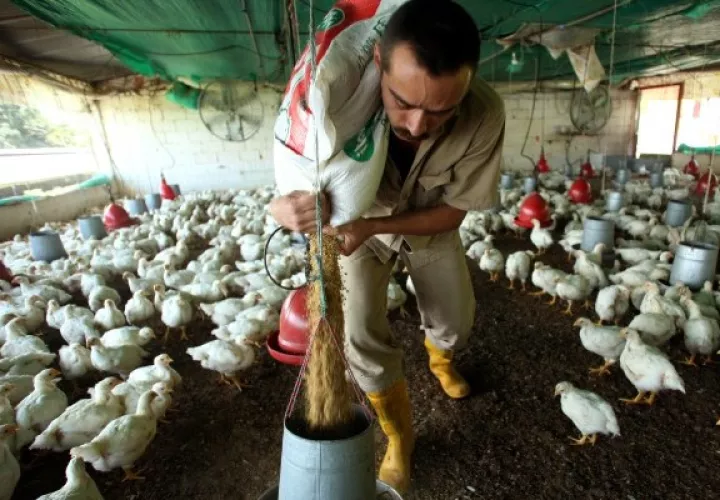 El protocolo fue suscrito ayer en Beijing y pretende regular la inspección, la cuarentena y los demás requisitos de carácter veterinario.