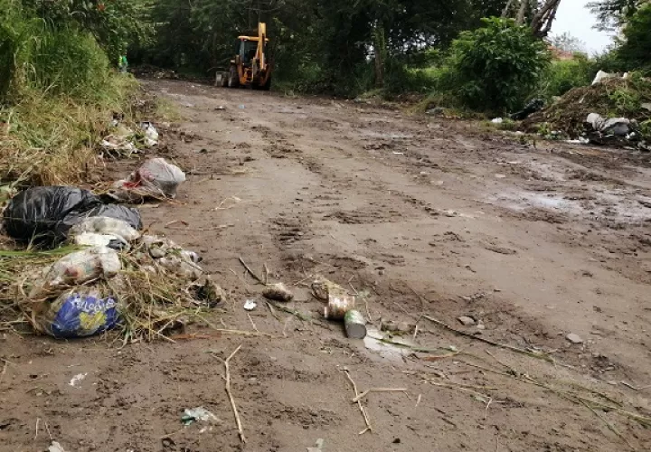 Remueven desechos en zona de playa en el área de Chame.
