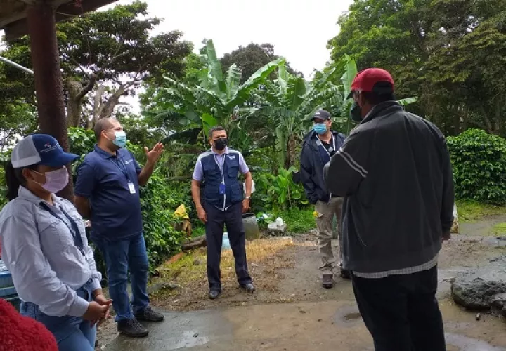 Durante el operativo contra el trabajo infantil, se visitaron seis fincas dedicadas a la producción de café y la actividad agrícola.