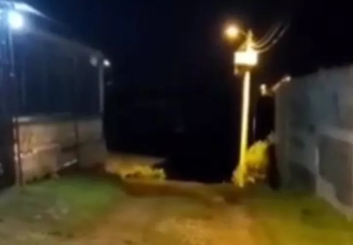 Algunos moradores reportaron haber escuchado varios disparos, por lo que llamaron a la Policía Nacional. 