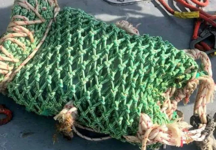 La cocaína fue sujeta con una especie de ganchos de metal que guardaba un bulto de color verde. Foto: Diómedes Sánchez S.