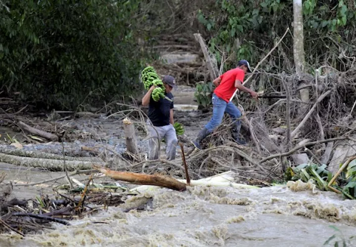En las primeras dos semanas de noviembre, antes de la llegada de Iota, Guatemala ya había sufrido los estragos de otra tormenta tropical, Eta, que provocó la muerte de 53 personas y dejó otras 96 desaparecidas.