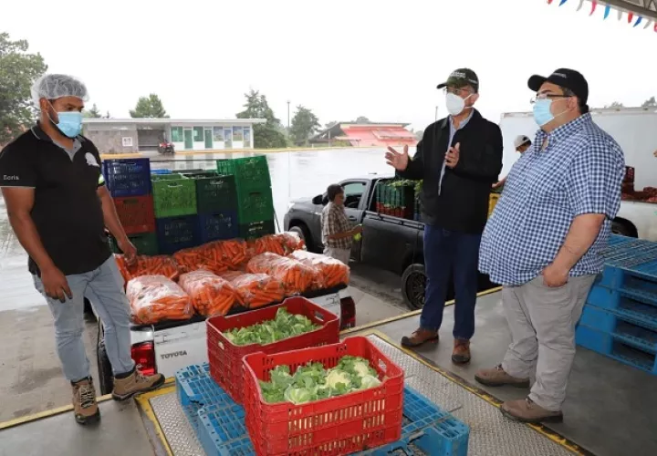 Mida y Cadena de Frío  verifican el empacado de los productos, para ser distribuidos en el Merca Panamá y otros mercados de abastos del país. Foto/Cortesía