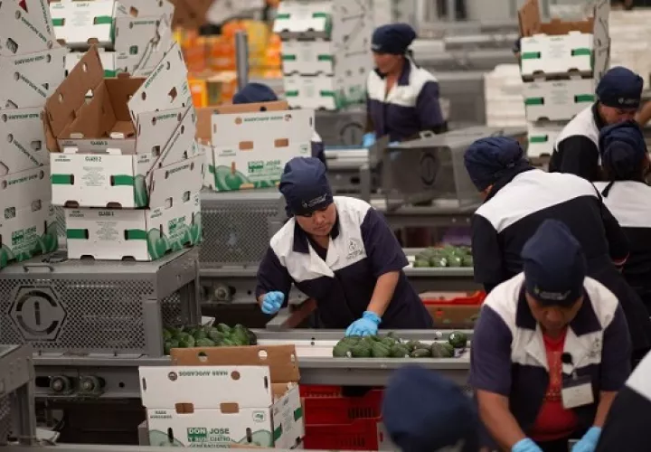 Las ruedas negocios se enfocaron en promover a los sectores agroalimentarios. Archivo