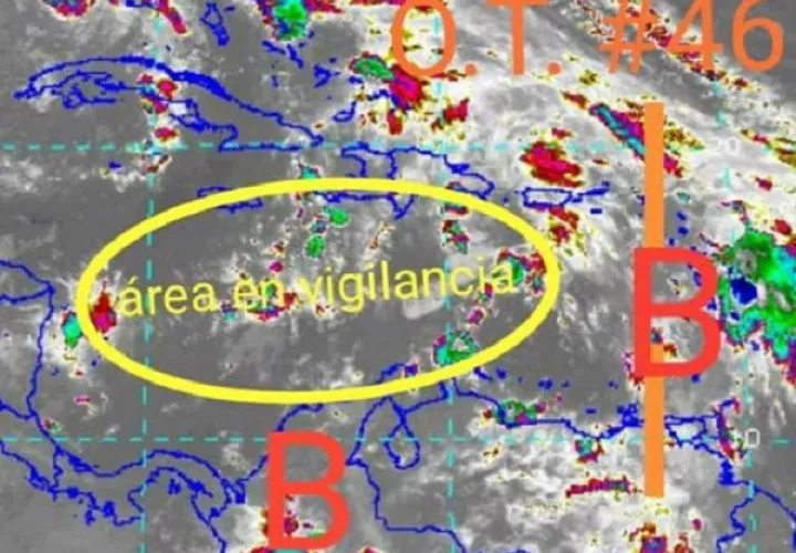 onda-tropical_0.jpg