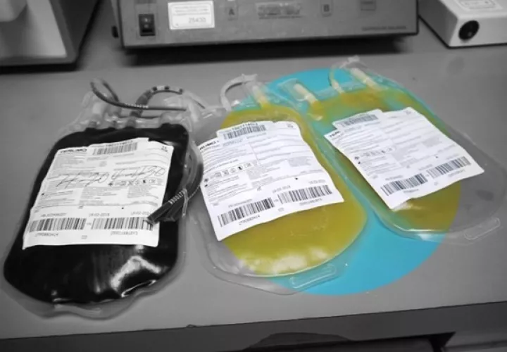 El plasma convaleciente es la parte líquida de la sangre que se recolecta de los pacientes que se han recuperado del coronavirus.