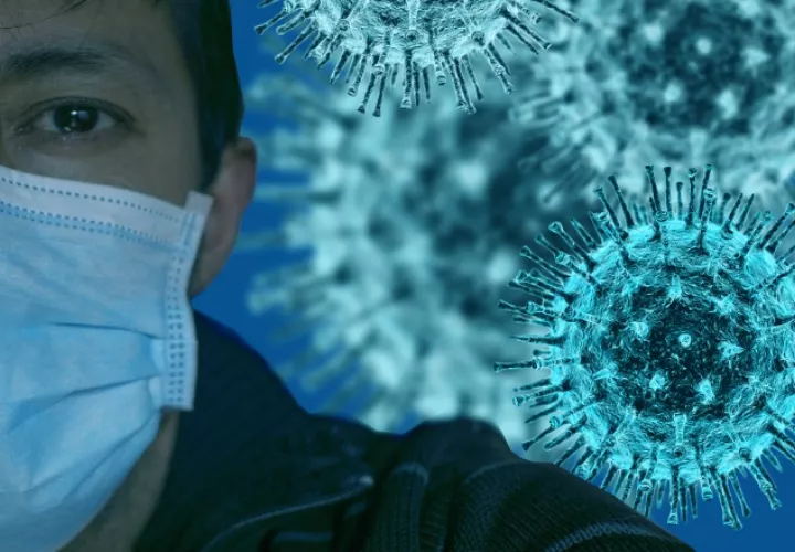 Recientemente se publicó un análisis sobre las búsquedas web relacionadas con el nuevo virus. ILUSTRATIVA / PIXABAY