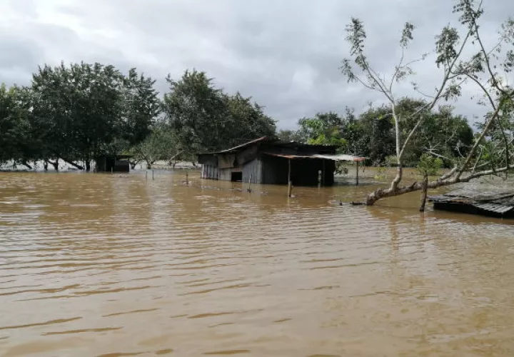 Entre las viviendas afectadas por la inundación hay dos casas de madera y zinc. Foto: Thays Domínguez