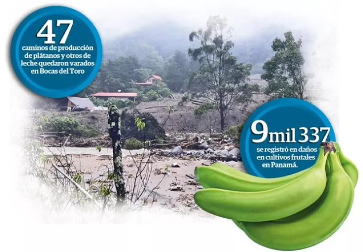 El ministro de Desarrollo Agropecuario, Augusto Valderrama señaló que el Gobierno Nacional está brindando respuestas para restablecer los caminos de producción.