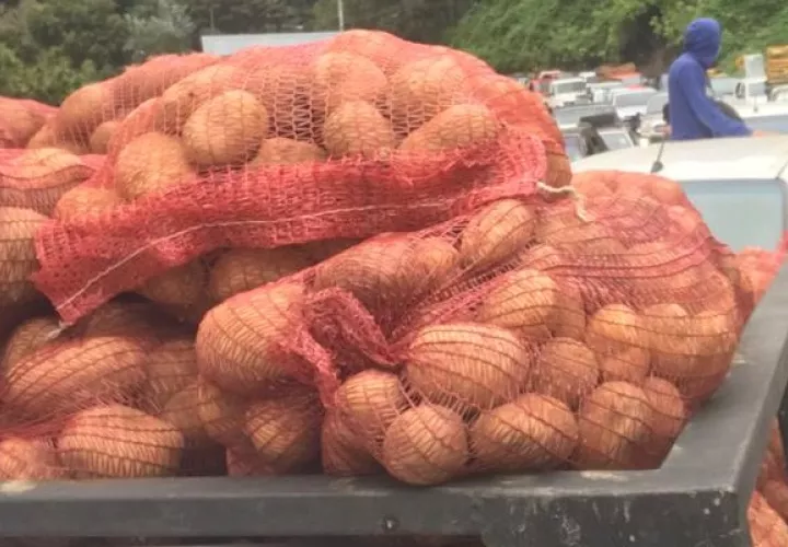 Los productores esperan que para este martes hayan abastecido en un 100% el mercado nacional, garantizando el producto para los consumidores.