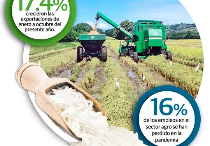 Los productores reconocen que la producción ha aumentado con respecto al año pasado. Sin embargo, aseguran que se debe hacer mucho más para estar en los niveles óptimos de años atras.