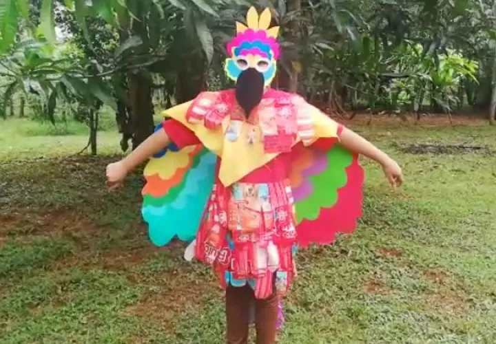 Sandra Aizpurúa, quien cursa el quinto grado de la escuela Chorcha Abajo, se disfrazó de una guacamaya y explicó todo sobre esta ave en un video. 