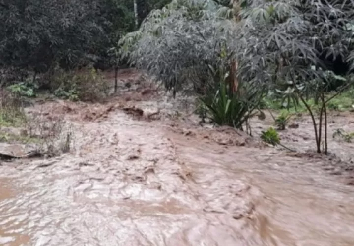 Ante el aviso de los moradores, personal de protección civil se trasladó al área para conocer la situación y las afectaciones  producto del mal tiempo en la zona.