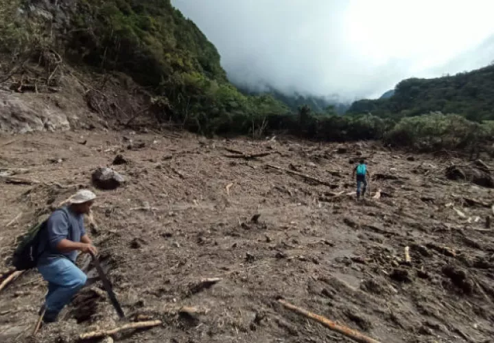 Técnicos y guardaparques del Parque Nacional Volcán Barú han evaluado los daños. Foto: José Vásquez.