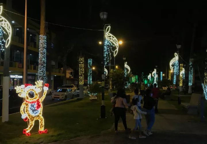 Los adornos permanecerán durante todo el mes de enero de 2021.  Foto: Diómedes Sánchez S.