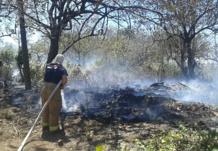 El tema de los incendios forestales durante la temporada seca se registra con mucha frecuencia, pero no sólo de masa vegetal en áreas protegidas; sino también en área urbanas donde se inicia con quemas de basura que pueden extenderse y acabar con grandes bosques.
