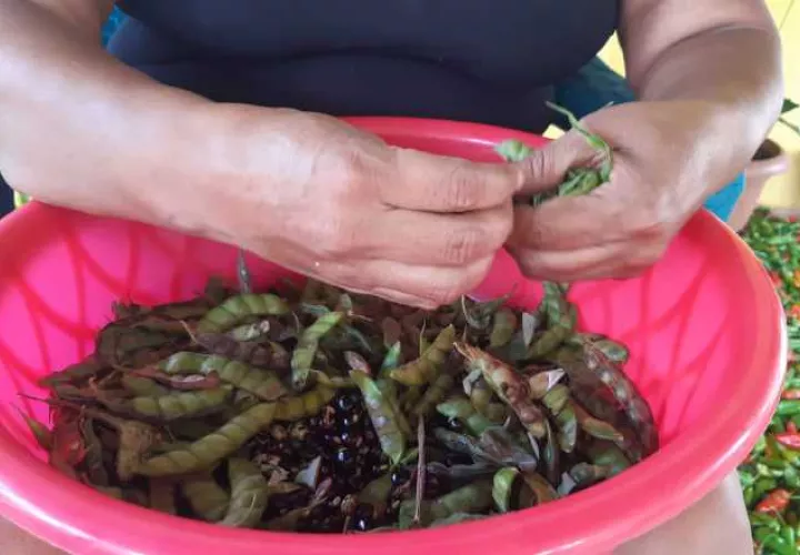 La venta de guandú beneficia no solo a los productores, sino también a desgranadores e intermediarios.