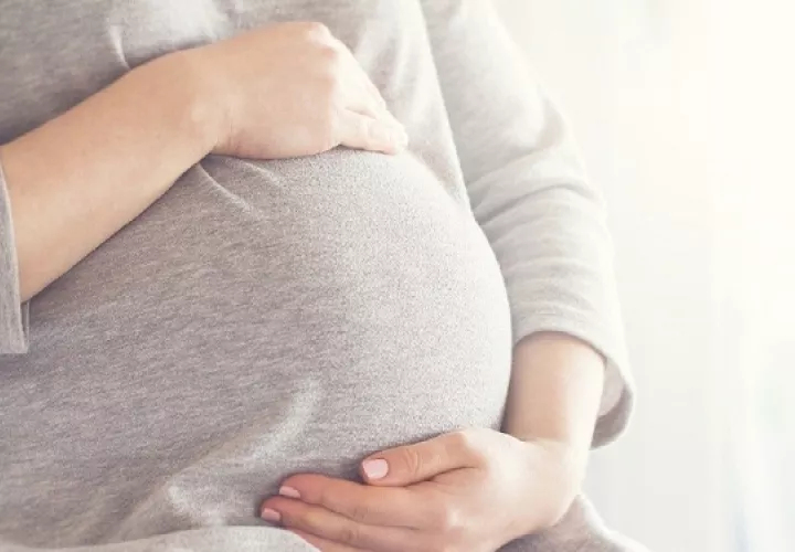 La reserva ovárica está directamente relacionada con la fertilidad femenina. Foto: Ilustrativa / Pixabay