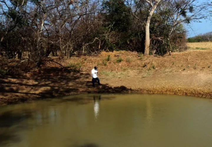 Un total de 23 abrevadores en El Valle, Río Hato, Antón, Penonomé, Toabré, La Pintada, El Copé, Olá, Natá, Aguadulce y El Roble. 