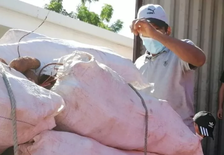 Los productores recibieron asistencia técnica  y acompañamiento en lo que corresponden a la preparación de tierras, siembra y levantamiento de cultivos.