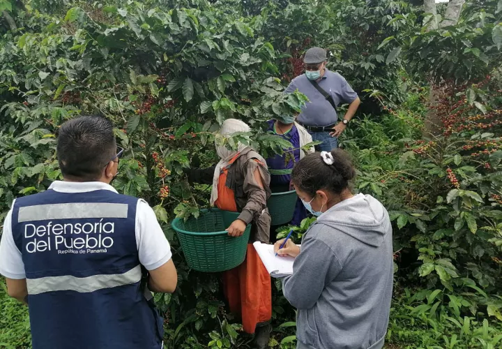 Las visitas buscan  sensibilizar en las fincas sobre los riesgos del trabajo infantil. Foto: Mayra Madrid.