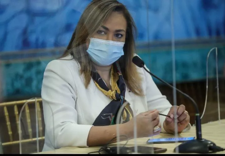 Ministra Consejera de Salud, Eyra Ruiz aclara que se investigarán las fiestas de fin de año. 
