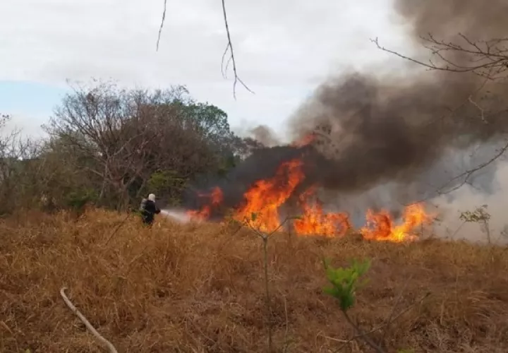 La época de incendios se inicia a mediados del mes de febrero hasta finales del mes de abril, meses en que se dan la mayor parte de estas afectaciones, según las autoridades. .