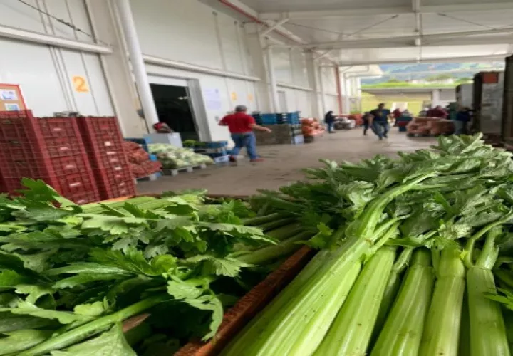 Productos como el apio fueron afectados por el mal tiempo. (Foto cortesía: Merca Panamá)