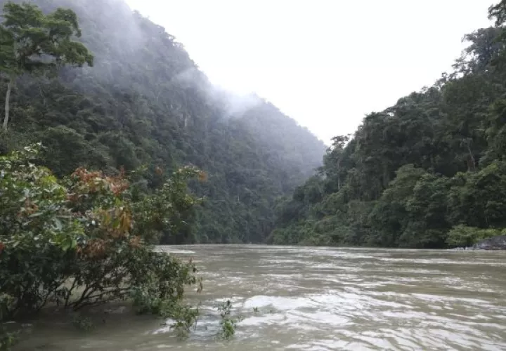 Los resultados reflejan que para el 2017, en Panamá hubo un balance entre emisiones y absorciones de GEI de - 9,758.3 kt CO2.