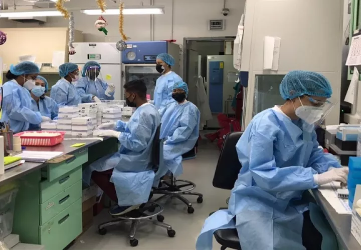 Detectan casos con la mutación D614G del virus de la covid-19. Foto: Gorgas