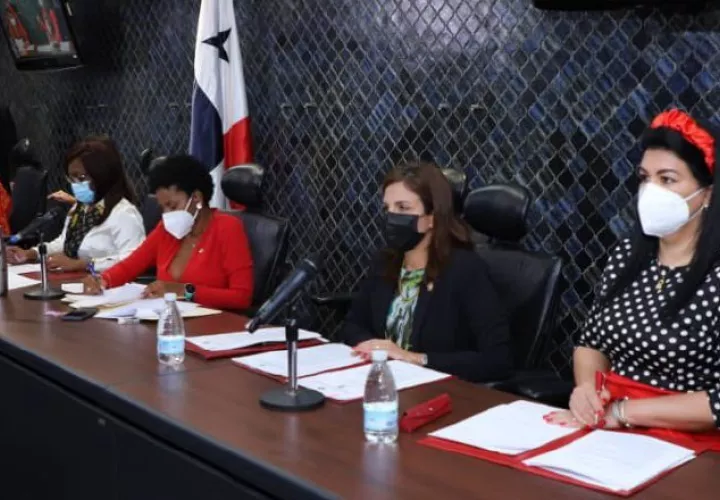 El informe fue presentado por la diputada Walkiria Chandler. 