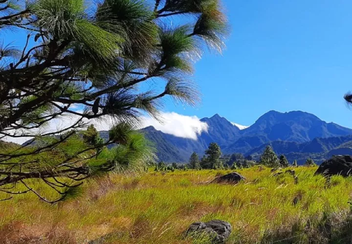 La reapertura de las áreas protegidas del país, inició el 16 de enero, y desde entonces por el Puesto de Control de Los Llanos han ingresado 25 turistas con sus respectivos guías.