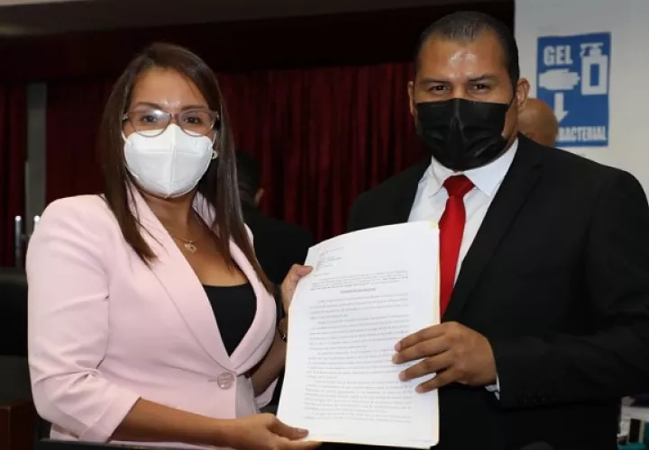 La iniciativa de la diputada Alina González fue presentada ayer.