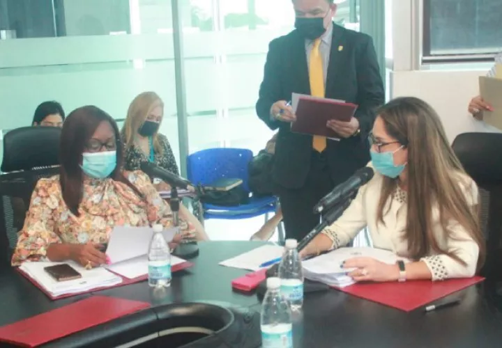 La diputada Kayra Harding presidirá la subcomisión que deberá analizar el proyecto que establece todo un sistema de protección.  Cortesía