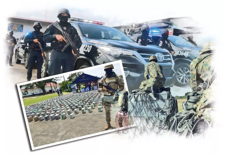 estamentos_de_seguridad_-_unificacion_-_ley_0.jpg